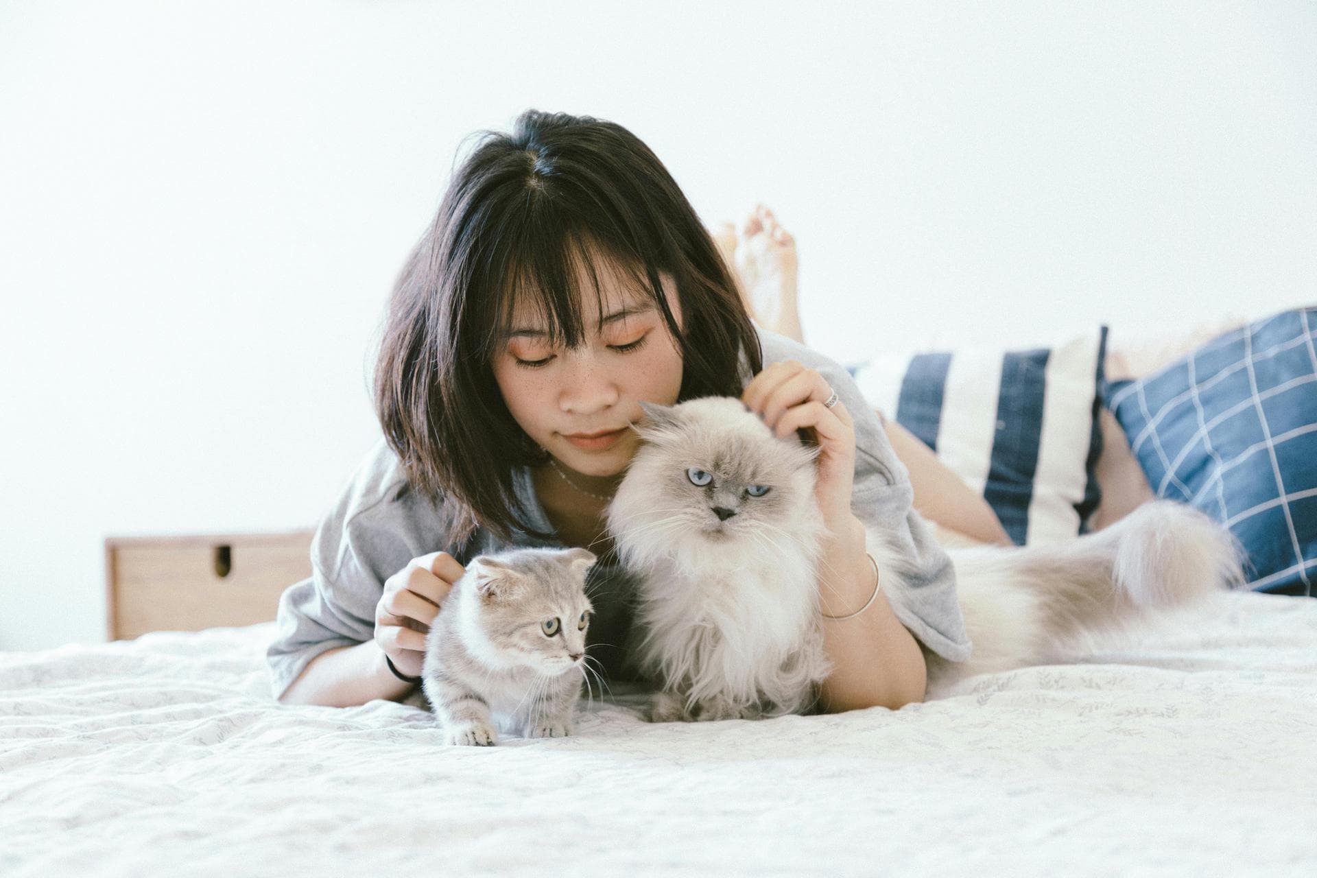 Dog & Cat Vets in Wailuku